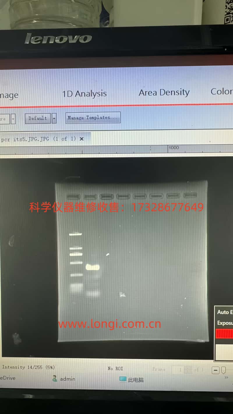 凝膠成像係統拍出來不清晰（xī）.jpg