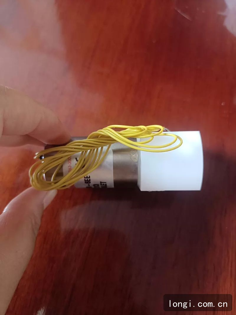 百柯BIO-CHEM電（diàn）磁驅動微量泵（bèng） 機械配件 全新原裝現貨 機械附件/儀器配件 02.jpg