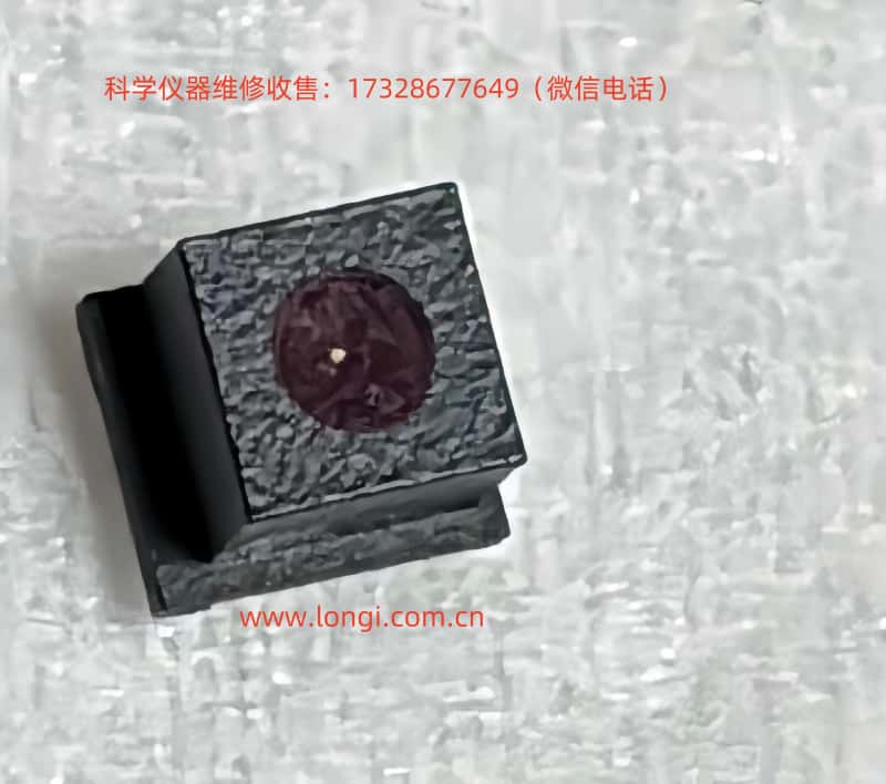 正麵.jpg